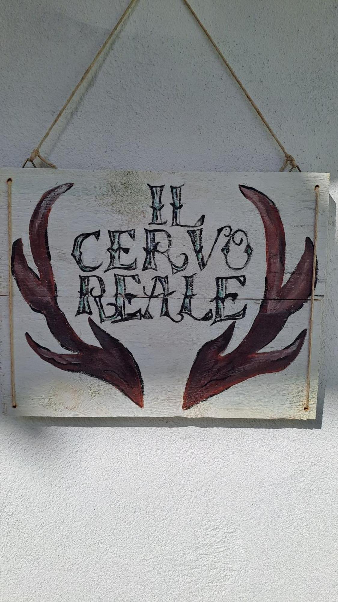 Il Cervo Reale Di Venaria Venaria Reale Quarto foto